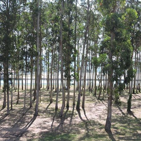 Apartamento Pie De Playa, El Puntal-Villaviciosa Villaviciosa  Εξωτερικό φωτογραφία